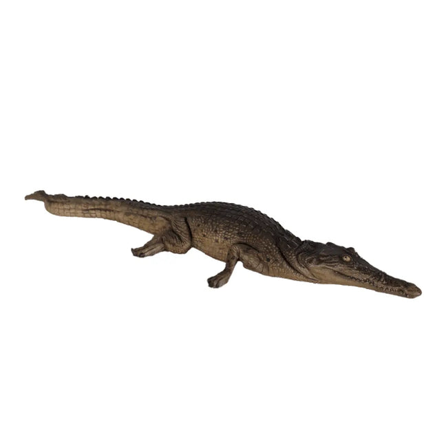 Resting Crocodile Life Size Statue LM Treasures - H