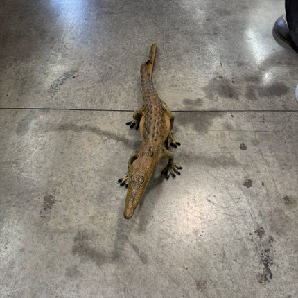 Walking Baby Crocodile Life Size Statue
