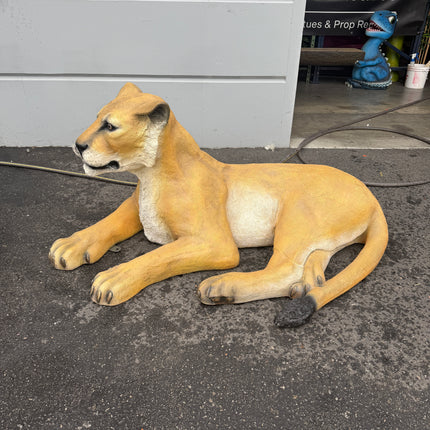 Laying Lioness Life Size Statue