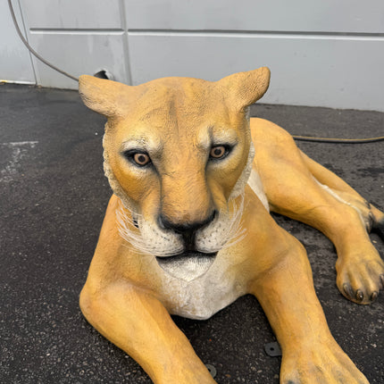 Laying Lioness Life Size Statue