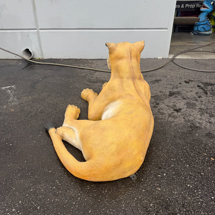 Laying Lioness Life Size Statue