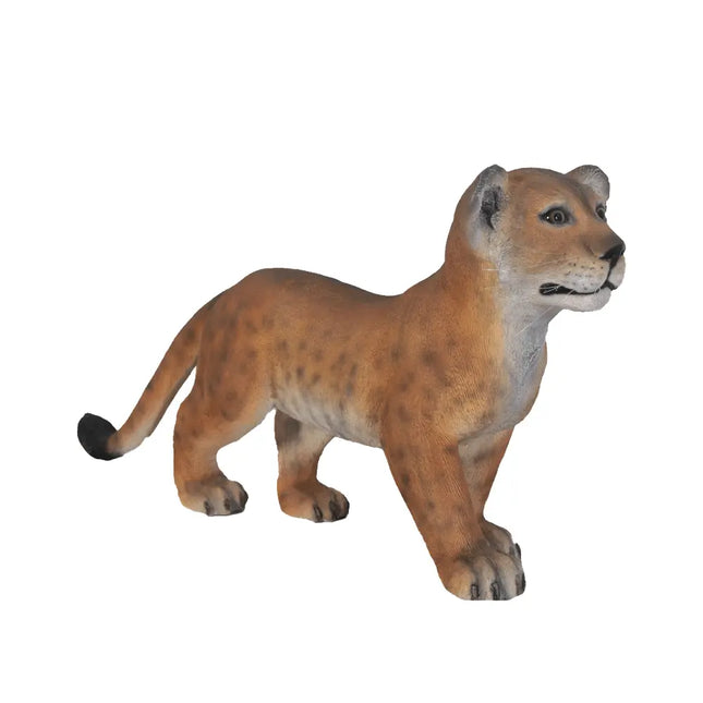 Standing Lion Cub Life Size Statue LM Treasures - H
