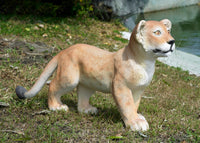 Standing Lion Cub Life Size Statue - LM Treasures 