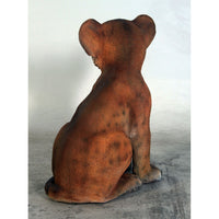 Lion Cub Sitting Life Size Statue - LM Treasures 