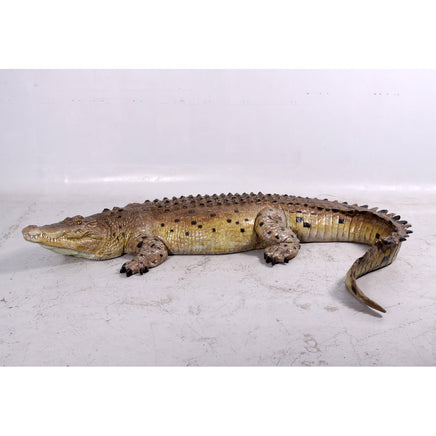Crocodile Life Size Statue - LM Treasures 