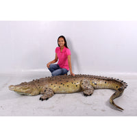 Crocodile Life Size Statue - LM Treasures 