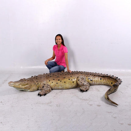 Crocodile Life Size Statue
