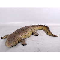 Crocodile Life Size Statue - LM Treasures 