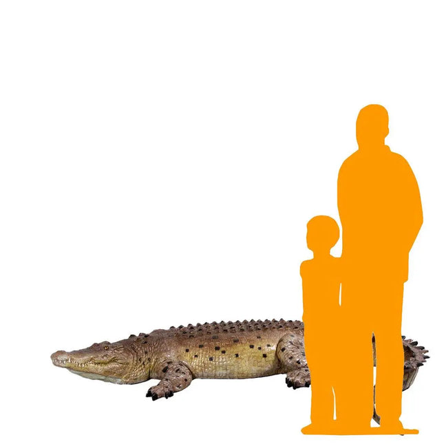 Crocodile Life Size Statue LM Treasures - H
