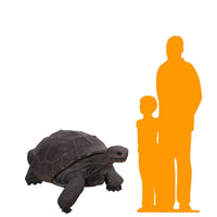 Galapagos Tortoise Over Sized Statue - LM Treasures 