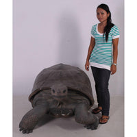 Galapagos Tortoise Over Sized Statue - LM Treasures 