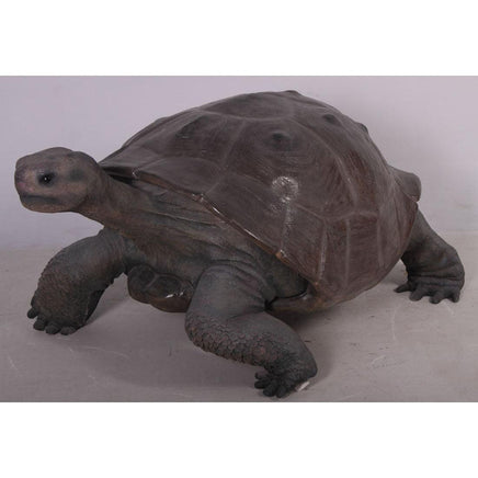 Galapagos Tortoise Over Sized Statue - LM Treasures 