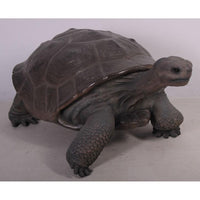 Galapagos Tortoise Over Sized Statue - LM Treasures 