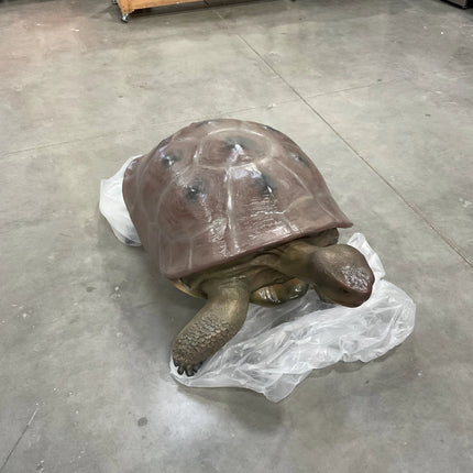 Galapagos Tortoise Over Sized Statue LM Treasures - H