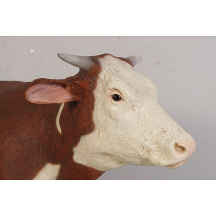 Hereford Steer Cow Life Size Statue - LM Treasures 