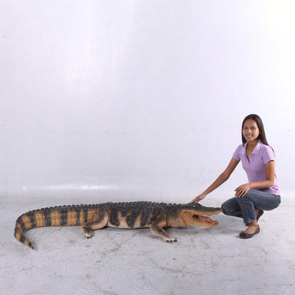American Alligator Life Size Statue