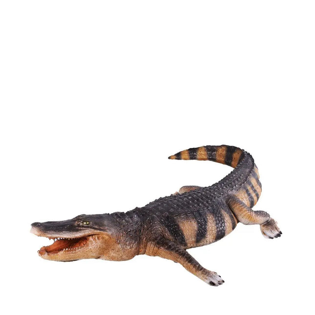 American Alligator Life Size Statue LM Treasures - H