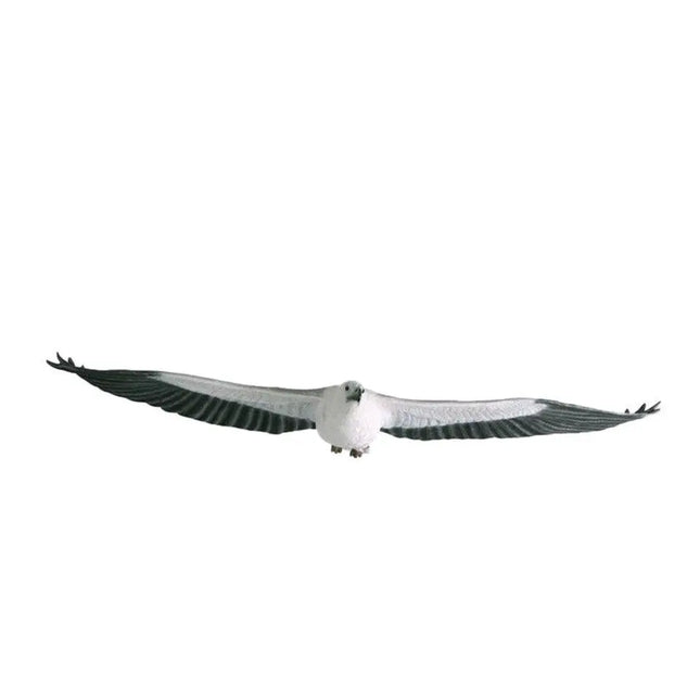 White Breasted Eagle Life Size Statue LM Treasures - H