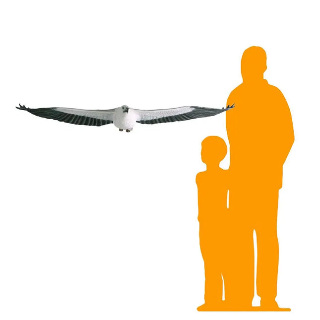 White Breasted Eagle Life Size Statue LM Treasures - H