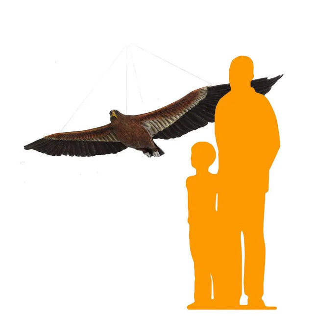 Wedge Tailed Eagle Life Size Statue LM Treasures - H