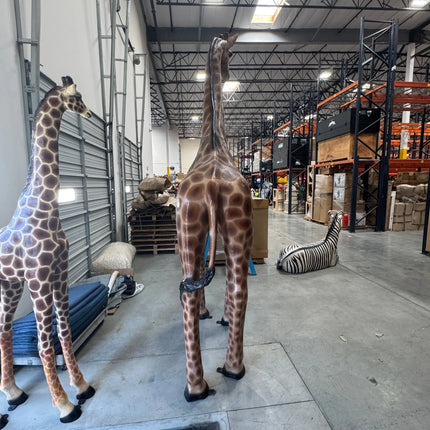 Young Adult Giraffe Life Size Statue LM Treasures - H