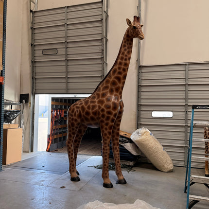 Young Adult Giraffe Life Size Statue LM Treasures - H