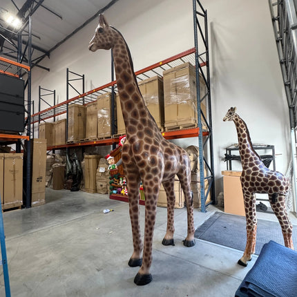 Young Adult Giraffe Life Size Statue LM Treasures - H