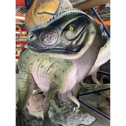 Allosaurus Dinosaur Head Turned Life Size Statue - LM Treasures 
