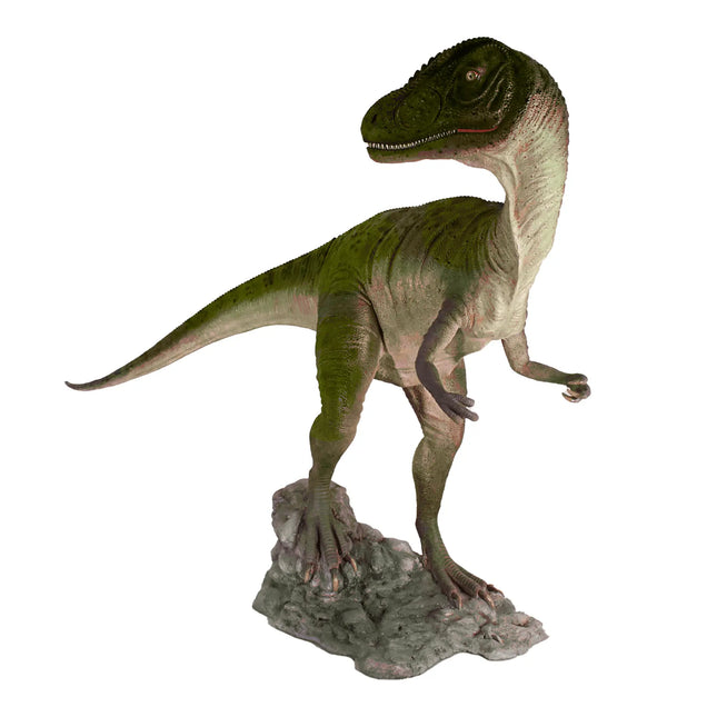 Allosaurus Dinosaur Head Turned Life Size Statue LM Treasures - H