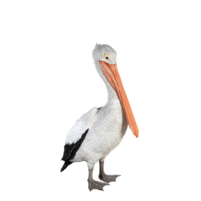 Pelican Life Size Statue LM Treasures - H