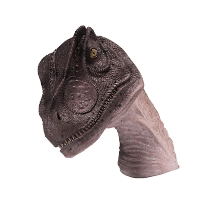 Allosaurus Dinosaur Head Life Size Statue - LM Treasures 