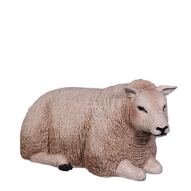 Laying Texelaar Lamb Life Size Statue - LM Treasures 