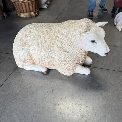 Laying Texelaar Lamb Life Size Statue