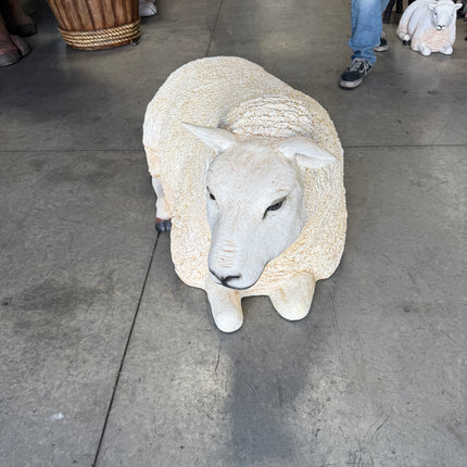 Laying Texelaar Lamb Life Size Statue