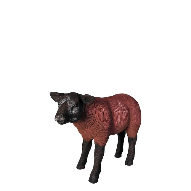 Brown Baby Texelaar Lamb Life Size Statue LM Treasures - H