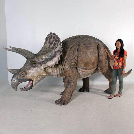 Triceratops Dinosaur Life Size Statue - LM Treasures 
