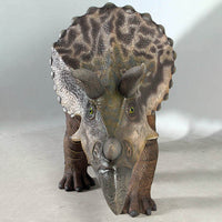 Triceratops Dinosaur Life Size Statue - LM Treasures 
