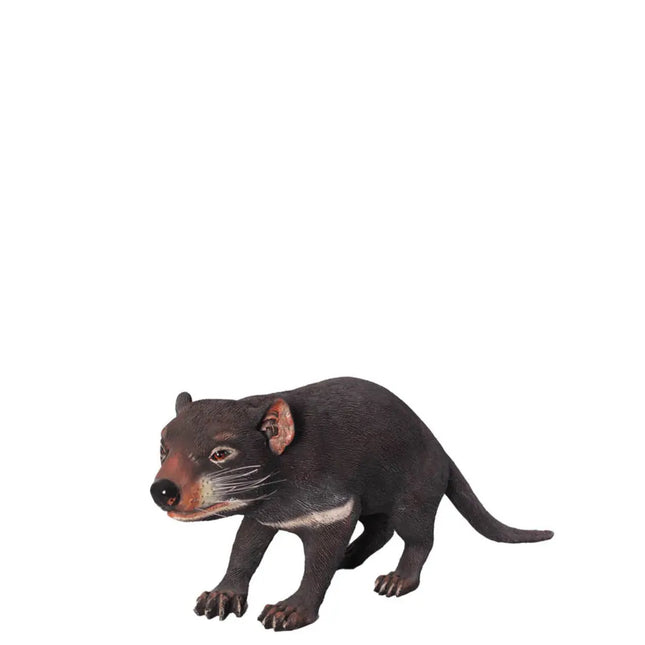 Tasmanian Devil Life Size Statue LM Treasures - H