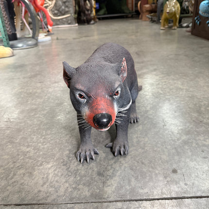 Tasmanian Devil Life Size Statue