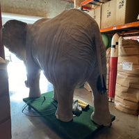 Giant Elephant Life Size Statue - LM Treasures 