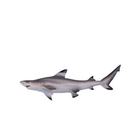 Black Tip Shark Statue - LM Treasures 