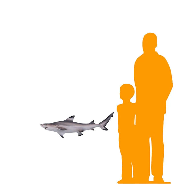 Black Tip Shark Statue LM Treasures - H