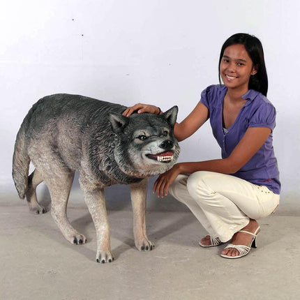 Growling Wolf Life Size Statue - LM Treasures 