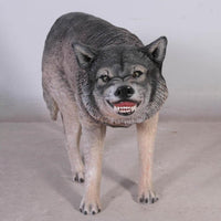 Growling Wolf Life Size Statue - LM Treasures 