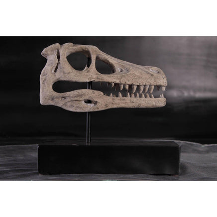 Raptor Dinosaur Skull Life Size Statue - LM Treasures 