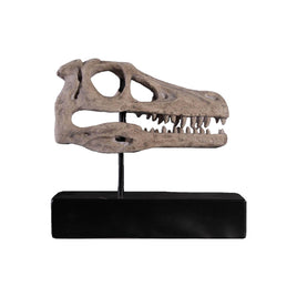 Raptor Dinosaur Skull Life Size Statue - LM Treasures 