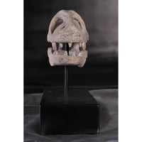 Raptor Dinosaur Skull Life Size Statue - LM Treasures 