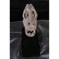 Raptor Dinosaur Skull Life Size Statue - LM Treasures 