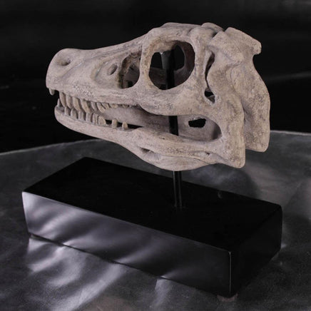 Raptor Dinosaur Skull Life Size Statue - LM Treasures 