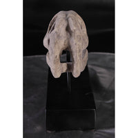 Raptor Dinosaur Skull Life Size Statue - LM Treasures 
